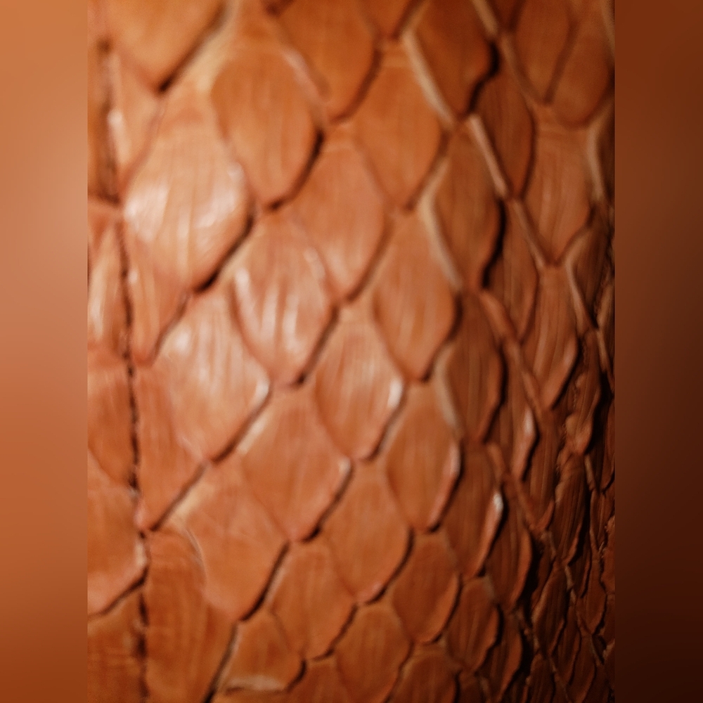 Sollecttic Genuine Python Snakeskin Burnt Orange … - image 1